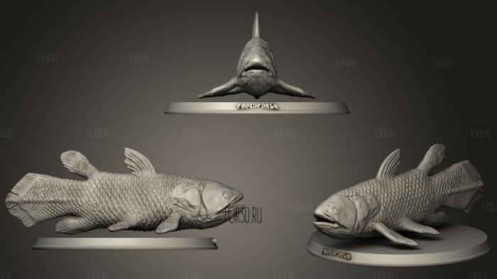 Coelacanth stl model for CNC